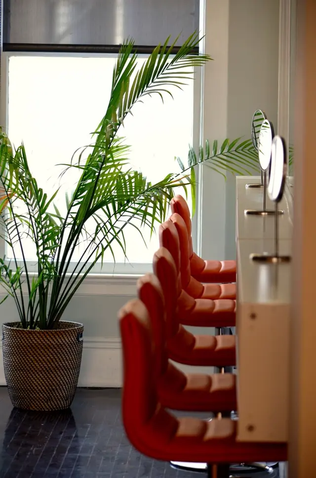 Interior del salón con sillas rojas en fila y plantas junto a la ventana.
